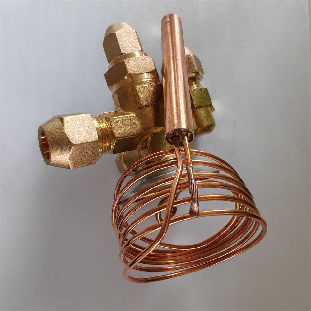 Original Thermal Expansion Valve NHCE5HW100-IN R22 17.6KW for Refrigeration Parts