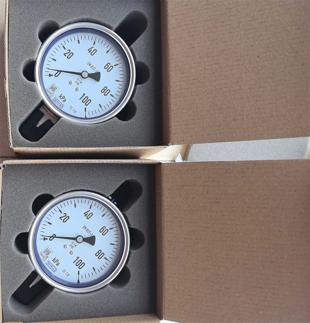 Differential pressure gauge with integrated working pressure indication and micro switch Model DPG40 Wika