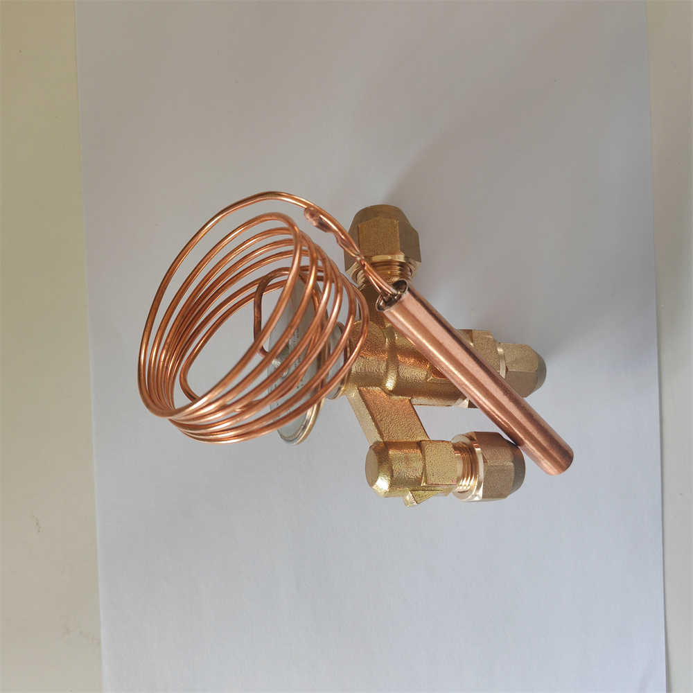Original Thermal Expansion Valve NHCE5HW100-IN R22 17.6KW for Refrigeration Parts