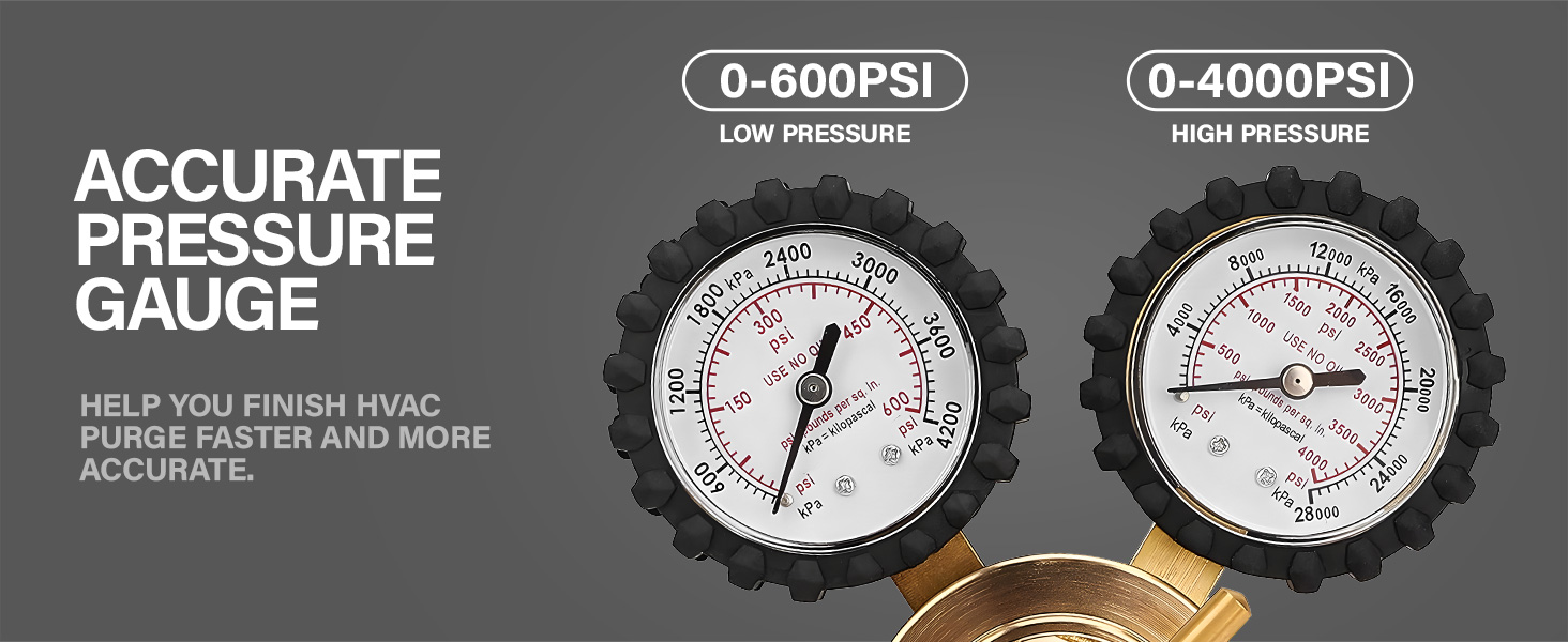 Nitrogen Regulator with 0-400 PSI Delivery Pressure, 60" Hose CGA580 Inlet Connection and 1/4