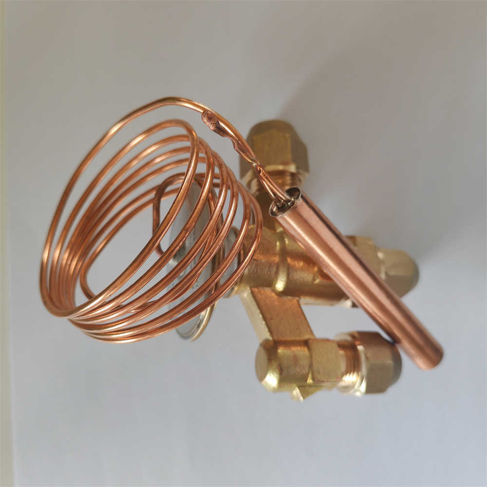 Original Thermal Expansion Valve NHCE5HW100-IN R22 17.6KW for Refrigeration Parts