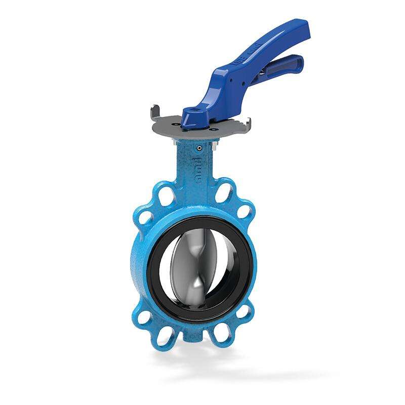 Double-offset butterfly Valve for Cryogenic Applications