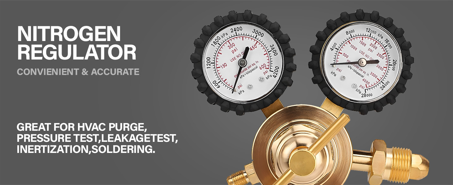 Nitrogen Regulator with 0-400 PSI Delivery Pressure, 60" Hose CGA580 Inlet Connection and 1/4